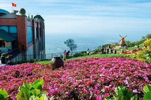 Du khách đổ lên 'tiểu Đà Lạt' Bà Đen đón mùng 8/3 sớm