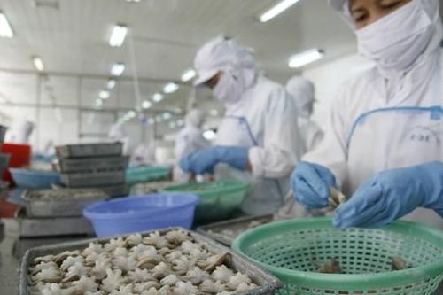 Doanh nghiệp lấy lại đà tăng