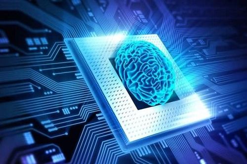 Mỹ phát triển trí tuệ nhân tạo từ tế bào não người
