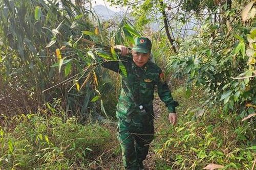 Những vành đai xanh, hàng rào 'mềm' nơi biên cương
