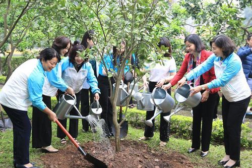 Phụ nữ Thủ đô phát động Tết trồng cây và 100 ngày thi đua cao điểm