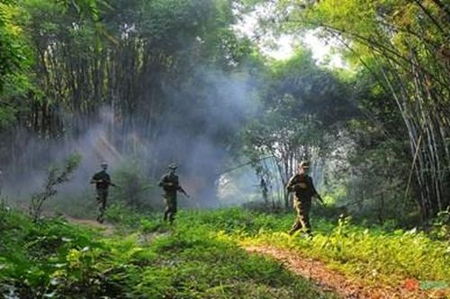 Trồng tre giữ đất nơi biên thùy