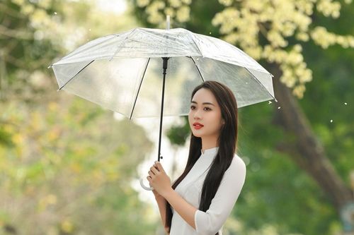 Nữ sinh trường Đại học Phương Đông trong veo bên hoa sưa