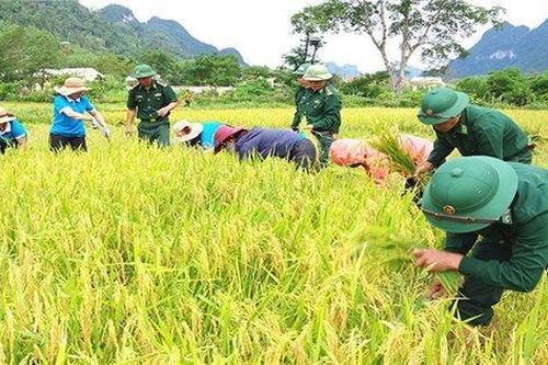 Nghĩa tình người lính Biên phòng
