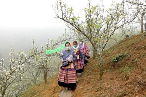 Si Ma Cai nỗ lực phát triển du lịch sinh thái