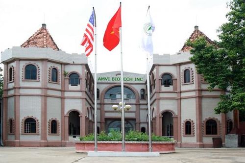 Y tế Việt Mỹ (AMV) kinh doanh quý 4 đi lùi, nợ ngắn hạn tăng cao