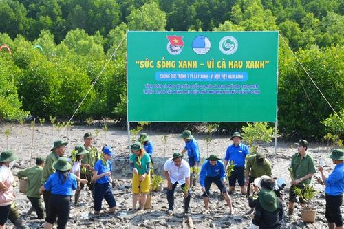 Khởi động Tháng thanh niên: Trồng 3.000 cây đước tại Mũi Cà Mau