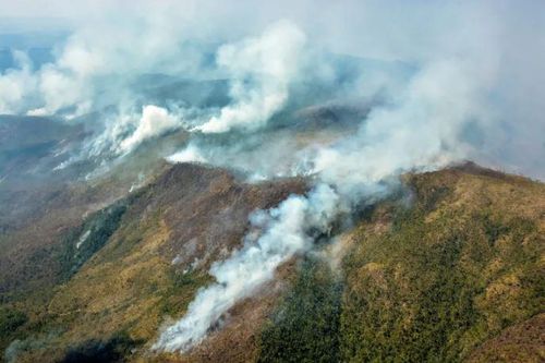 'Giặc lửa' thiêu rụi gần 3.600ha rừng ở miền Đông Cuba