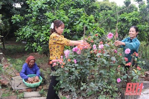 'Nhà sạch - vườn mẫu', đẹp nhà, đẹp làng quê