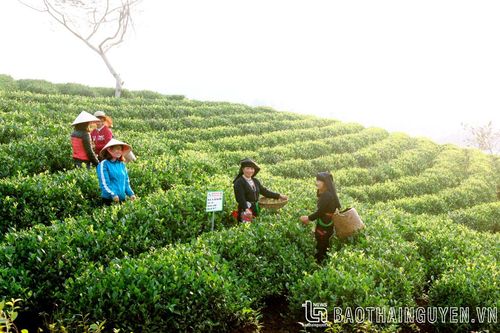 Đại Từ đánh thức tiềm năng du lịch