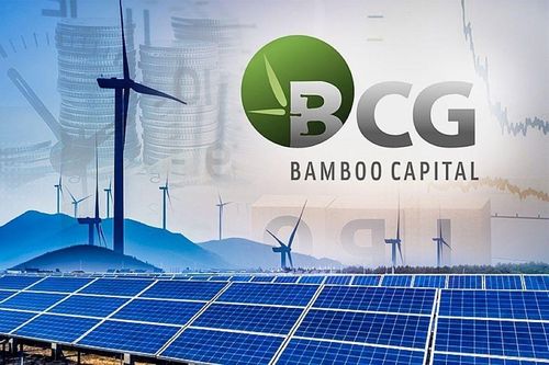 Bamboo Capital tiếp tục bán bớt cổ phần tại công ty sản xuất gỗ