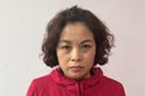 Truy tìm Đỗ Thị Vân Anh