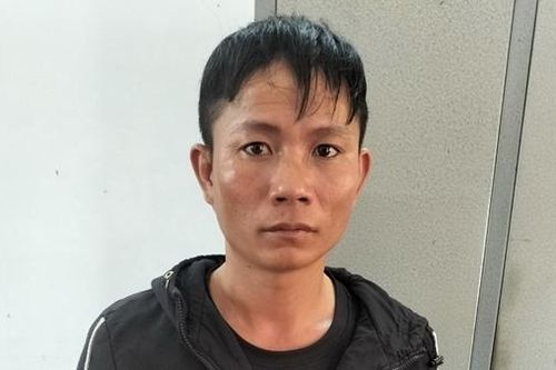 Đi xe máy dò tìm nơi thả trâu bò rồi lái ô tô đến chở đi bán