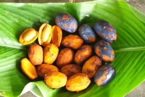 Chưa thử những món này coi như bạn chưa đến Phú Thọ