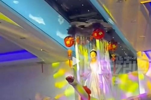 Khách mời mắt tròn mắt dẹt khi cô dâu cưỡi ngỗng khổng lồ vào lễ đường