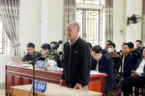 Xử lý nghiêm các đối tượng hủy hoại rừng