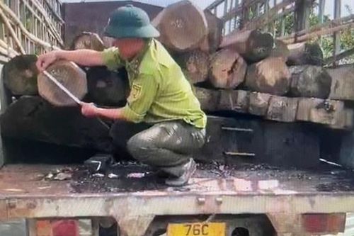 Quảng Ngãi: Điều tra làm rõ vụ kiểm lâm và nhân viên bảo vệ bị đánh nhập viện