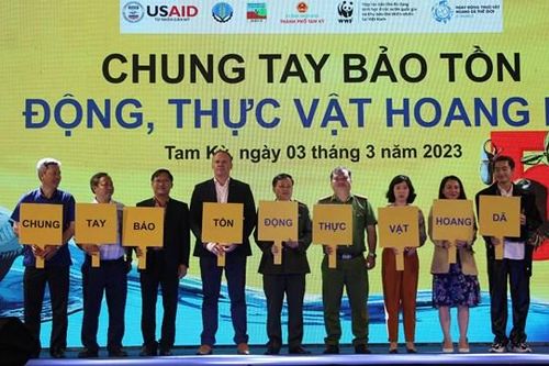 Phát động chương trình 'Tam Kỳ - thành phố không thịt động vật hoang dã'