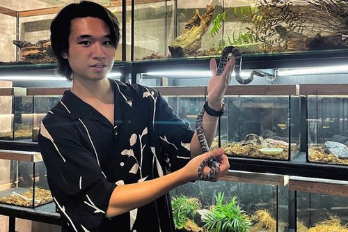 Khởi nghiệp với quán cà phê bò sát