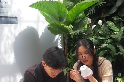 Bạn trẻ Sài Gòn cuối tuần giải tỏa stress bằng vẽ trang trí chậu cây
