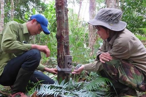 Nhà bảo tồn trẻ Trang Nguyễn: Bảo vệ môi trường và bảo tồn thiên nhiên không phải câu chuyện của riêng ai!