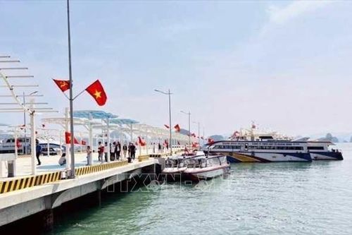 Nhiều khó khăn trong vận hành bến cảng tàu cao cấp Ao Tiên