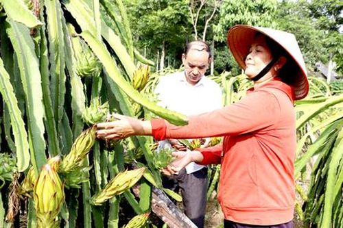 Hành trình 'hiện đại hóa' nông thôn ở Bắc Quang
