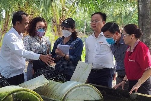 Mô hình nuôi lươn tuần hoàn nổi có sự đồng hành vốn của Agribank TP Bạc Liêu