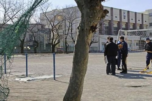 Chuỗi vụ giết mèo phân khúc bí ẩn khiến người dân Nhật Bản lo sợ