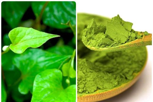 Có nên làm mặt nạ trị mụn bằng rau diếp cá?
