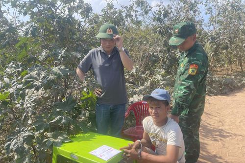 Sang Lào mua ma túy về sử dụng thì bị biên phòng Quảng Trị bắt giữ