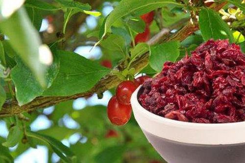 Cháo thuốc dành cho phụ nữ thời kỳ mãn kinh