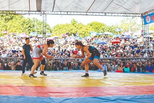 Hấp dẫn đấu vật