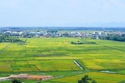 Cần bảo đảm sự thống nhất giữa dự thảo Luật Đất đai (sửa đổi) với Luật Lâm nghiệp