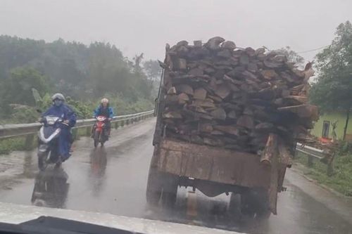 Tài xế xe chở gỗ chửi bới CSGT, phóng bạt mạng bỏ chạy