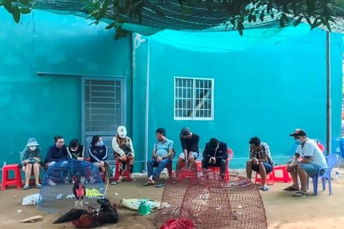 Triệt phá 2 tụ điểm đá gà ăn tiền quy tụ nhiều 'con bạc' liên tỉnh