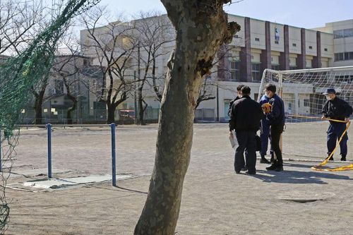 Loạt vụ sát hại mèo dã man liên tiếp gây rúng động thành phố ở Nhật Bản