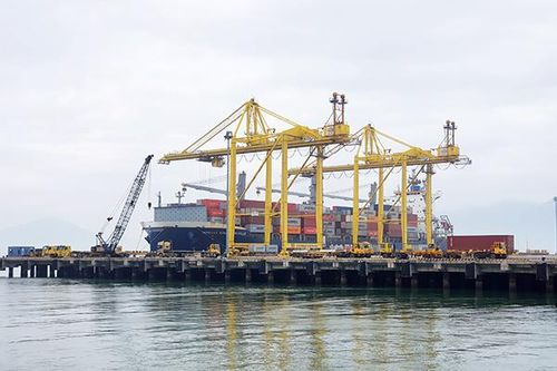 Cảng Đà Nẵng quyết tâm trở thành nhà đầu tư khai thác cảng Liên Chiểu