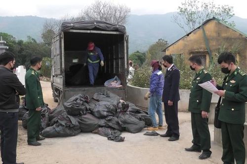 Thu giữ và tiêu hủy hơn 1,5 tấn tai lợn không rõ nguồn gốc