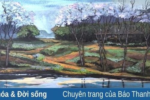 Hoa xoan tím ngát tuổi thơ