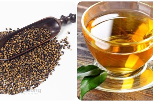 Uống nụ vối có tốt không?