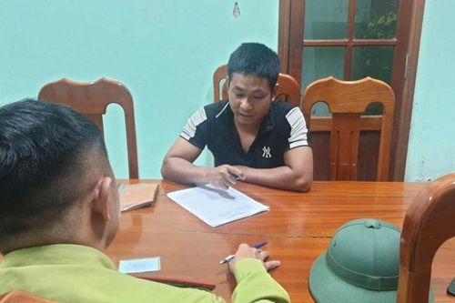 Điều tra nhóm 'lâm tặc' hành hung kiểm lâm