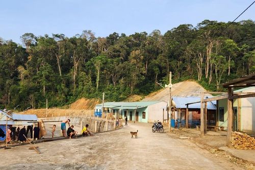 'Làng Ong' với cuộc sống mới