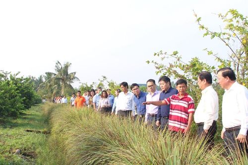 Khuyến khích du lịch nông nghiệp tỉnh Long An xây dựng chương trình 'Học kỳ làm nông'
