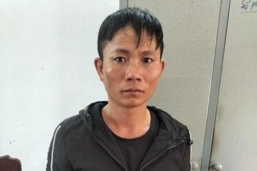 Phê chuẩn lệnh bắt người bị giữ trong trường hợp khẩn cấp đối tượng trộm trâu, bò