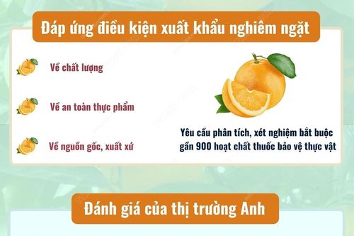 Cam Cao Phong được đánh giá cao tại thị trường Anh