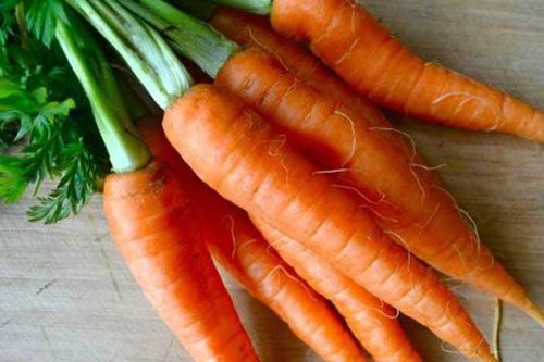 Vứt bỏ phần gốc của loại thực phẩm này chẳng khác gì ném bỏ hết chất dinh dưỡng vào thùng rác