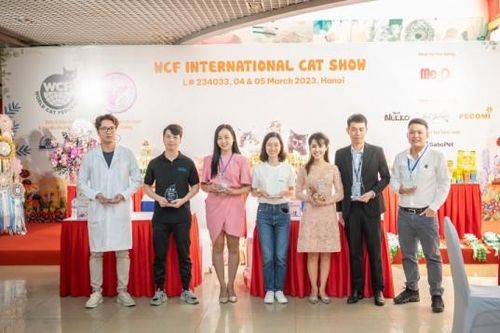 Hơn 200 bé mèo 'tranh tài' tại Cuộc thi 'sắc đẹp' WCF International Cat Show