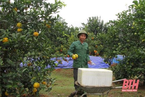 Lan tỏa những mô hình 'Dân vận khéo' vùng đồng bào công giáo