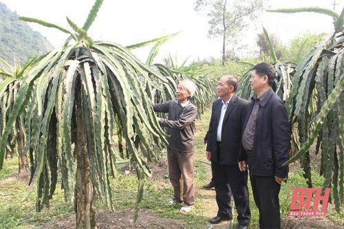 Cựu chiến binh thị xã Bỉm Sơn giúp nhau phát triển kinh tế
